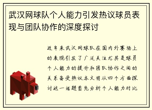 武汉网球队个人能力引发热议球员表现与团队协作的深度探讨